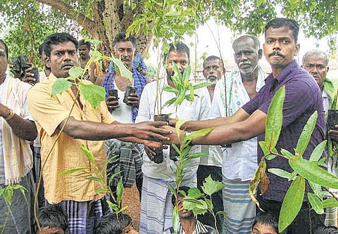 பசுமைப் ‘பார்வை