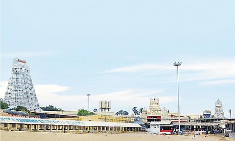 சிகப்பு சாத்தி, பச்சை சாத்தி உலா : திருச்செந்தூர் மாசித் திருவிழா