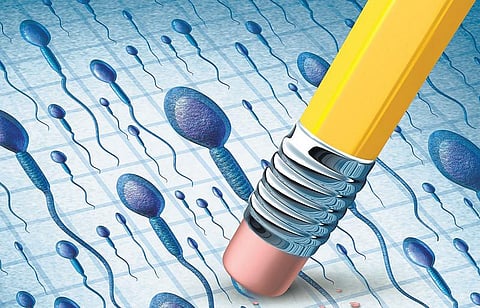 மலட்டுத் தன்மைக்கு மாற்று மருந்து