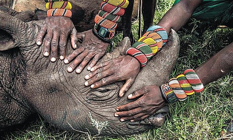 இது எல்லோருக்குமான உலகம்!