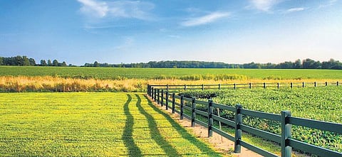 விளைநிலமும் விலைநிலமும்