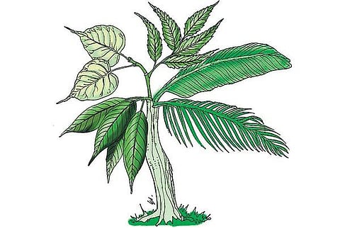 புதிர் பக்கம்