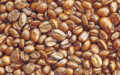 கும்பகோணம் டிகிரி காபி ரகசியம் தெரியுமா?