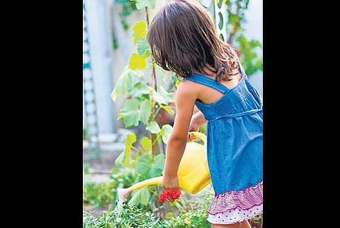 கோடை காலத்துக்குத் தயாராகும் இல்லம்