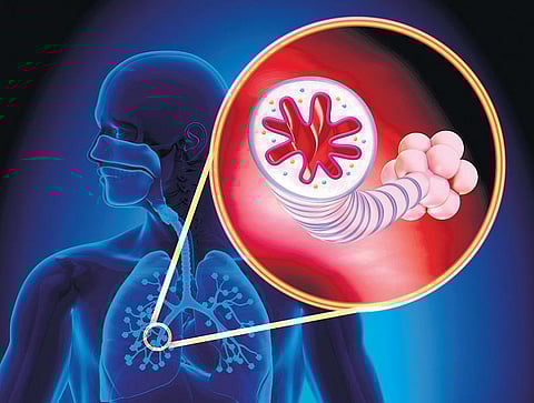 ஆஸ்துமாவைக் கட்டுப்படுத்தும் திப்பிலி