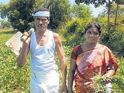 விருது வென்ற விவசாயி