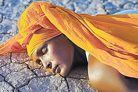 பக்கத்து வீடு: போராடும் பாலைவனப் பூ!