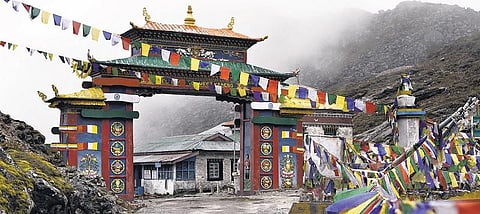 மொழிகள் செழிக்கும் வனம்