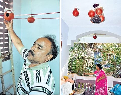 வீட்டுக்குள்ளே சிட்டுக்குருவி சரணாலயம்: உறவாக கருதி நேசிக்கும் புதுச்சேரி தம்பதி