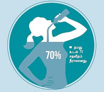 எவ்வளவு தண்ணீர் குடிக்கலாம்?