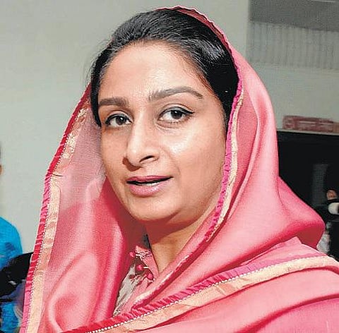 17 உணவு பூங்கா அமைக்க மத்திய அரசு அனுமதி