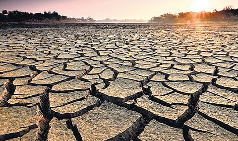 நீரின்றித் தள்ளாடும் இந்தியா