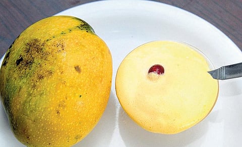 குளு குளு கொண்டாட்டம் - மாம்பழ ஐஸ்கிரீம்