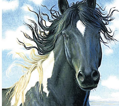 யார் அந்தக் கறுப்பழகன்?