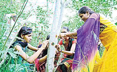 பெண் குழந்தையும் 111 மரங்களும்