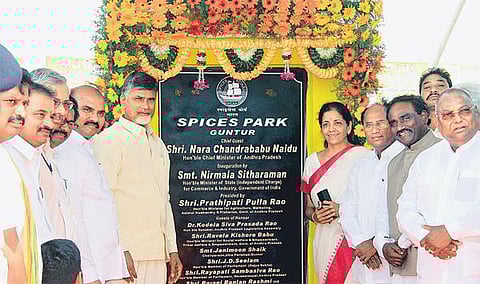 ஆந்திர மாநிலம் குண்டூரில் வாசனை, மசாலா பொருட்கள் பதப்படுத்தும் தொழில் பூங்கா திறப்பு