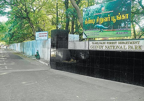 மாநகருக்குள்ளே ஒரு ஜாலி சுற்றுலா