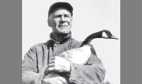 ஜாக் மைனர் 10