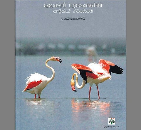 பறவைகளின் உயிர் யார் கையில்?