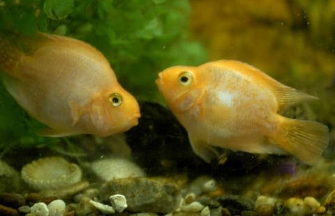 உலக மசாலா: மனிதனின் அறியாமையால் எவ்வளவு பாதிப்பு...