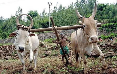 ஒரு பிடி மண் 7 - நிலம் என்பது வெறும் மண் மட்டும்தானா?