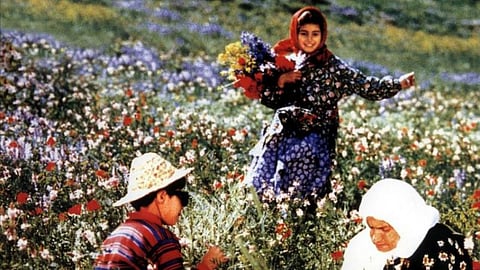 கலர் ஆஃப் பாரடைஸ்: நிறைவுறாத பால்யத்தின் எழிலோவியம்