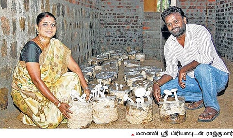 புத்துயிர் தந்த பால் காளான் வளர்ப்பு: மாதம் ரூ. 2 1/2 லட்சம் வருமானம்