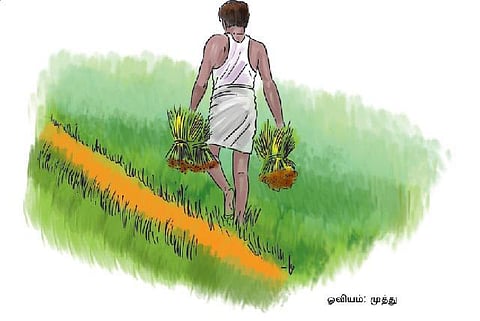 இயற்கை வேளாண்மையின் வெற்றிக் கதைகள்