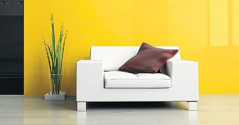 கோடையில் மிளிரும் மஞ்சள்