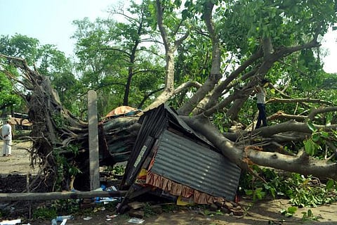 பிஹார் புயலுக்கு 42 பேர் பரிதாப பலி