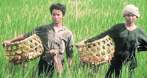 சர்வதேச சினிமா: சேற்று மனிதர்களின் கதை- ரைஸ் பீப்பிள்