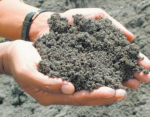 மாற்று மணல் ஆரோக்கியமான தொடக்கம்