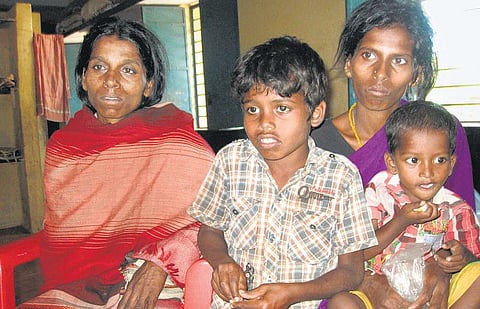 ஞாயிறு அரங்கம்: வனப் புதல்வர்களைக் காக்க என்ன வழி?