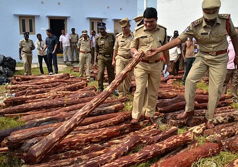 ஞாயிறு அரங்கம்: செம்மர வனங்களில் ரத்தம் வடிவது ஏன்?