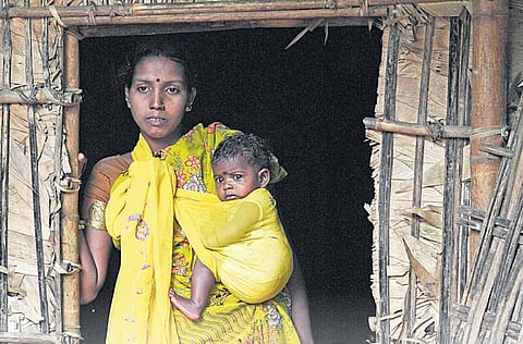 வறுமை: சில புள்ளிவிவரங்கள்!