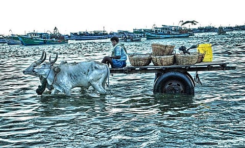 எங்களை குற்றப் பரம்பரையாக சித்தரிப்பதா?- மத்திய அரசு மீது மீனவர்கள் அதிருப்தி