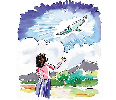 சித்திரக்கதை: கதை சொல்ல வந்த பறவை