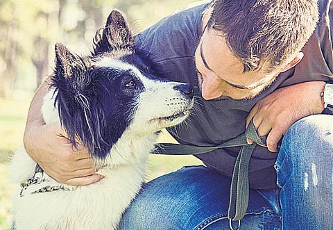 நாய்க்கும் மனிதனுக்கும் நேசம் வந்தது எப்படி?