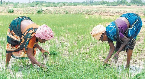 ‘மே’தினி சிறக்கவே...