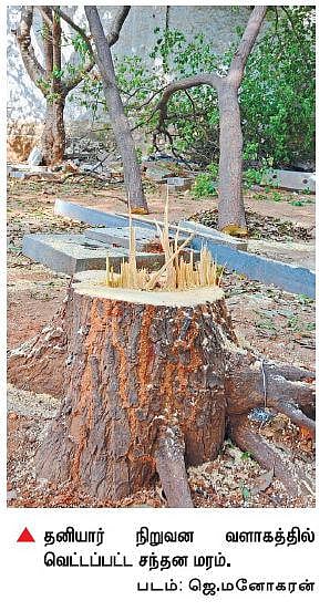 தனியார் நிறுவன வளாகத்திலிருந்து சந்தன மரம் வெட்டிக் கடத்தல்