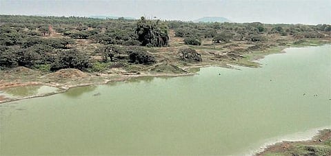 வேடந்தாங்கலுக்கு வெளிநாட்டுப் பறவைகள் வருவது குறைந்ததால் ஏமாற்றத்துடன் திரும்பி செல்லும் சுற்றுலாப் பயணிகள்