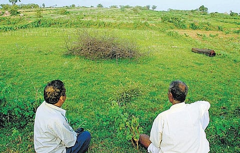 நிலம், வளர்ச்சி, ஜனநாயகம்
