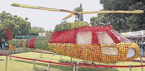 கோத்தகிரியில் காய்கறி கண்காட்சி பார்வையாளர்களை கவர்ந்த ‘மூவர்ண குடை மிளகாய் ஹெலிகாப்டர்’