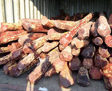 வனத்துறை, போலீஸ் அதிகாரிகள் செம்மர கடத்தலுக்கு ஒத்துழைப்பு: விசாரணையில் அம்பலம்