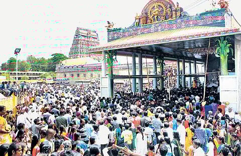 சிதம்பரம் நடராஜர் கோயில் தரிசன விழா: ஆயிரக்கணக்கான பக்தர்கள் பங்கேற்பு