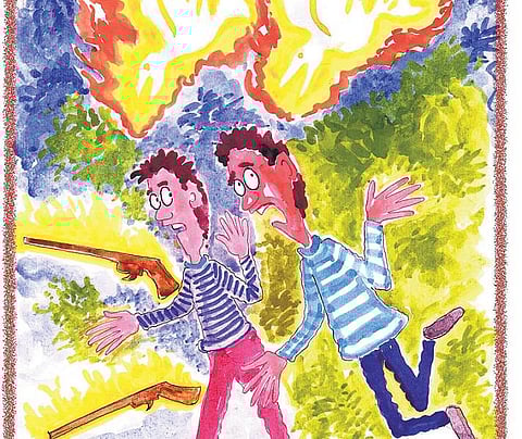 சித்திரக்கதை: பறவை சொன்ன கதைக் காடு