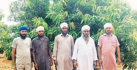 வறட்சிக்குப் பெயர் பெற்ற ராமநாதபுரம் மாவட்டத்தில் பழத்தோட்டம்: வளமான பூமியாக மாற்றிய பஞ்சாப் விவசாயிகள்