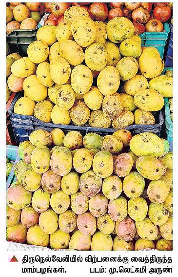 கார்பைடு கல் மாம்பழங்கள் எச்சரிக்கை: சுவை இருக்காது, உடலுக்கு தீங்கானது