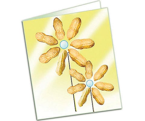 நீங்களே செய்யலாம்: புதுமையான வாழ்த்து அட்டை