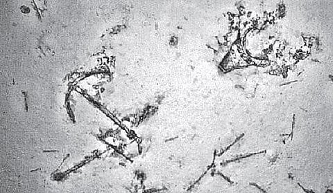 கடலுக்குள் மூழ்கிய கப்பல் பாகங்கள் கண்டுபிடிப்பு: மாயமான மலேசிய விமானத்தைத் தேடியபோது கிடைத்தது